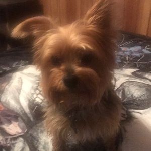 Meet your Posher, Melissa